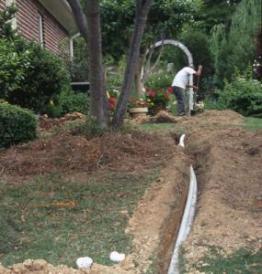 Our Cole Sprinkler Repair team is Your specialiist